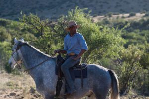 equine therapy for addiction