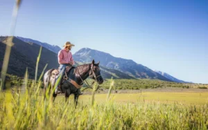 wilderness therapy programs colorado