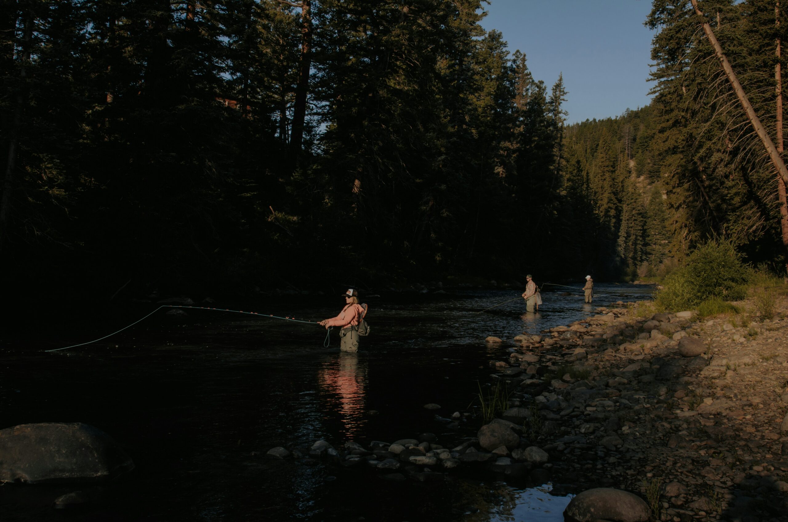 Three anglers fly fishing in a river that runs through a forested canyon, lit by low evening sun.